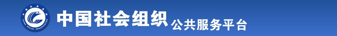 www.骚逼全国社会组织信息查询